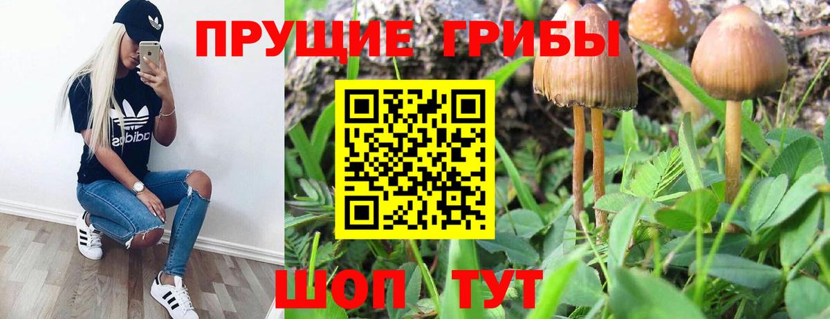 цены   Псилоцибиновые грибы Psilocybe  Вход с VPN  Старая Купавна 