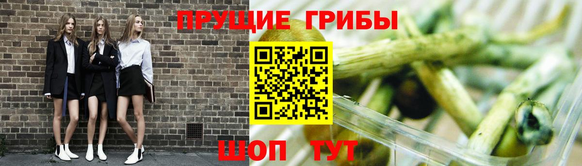 Галлюциногенные грибы мицелий Старая Купавна